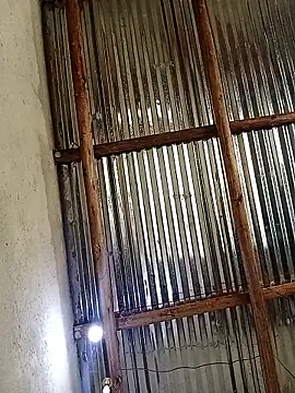 lilpip online show from October 2025 11:44:02 AM