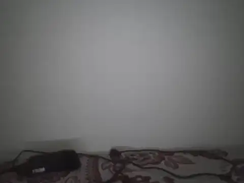 Brian lumper01 online show from March 2025 03:09:02 PM