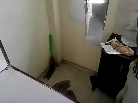 fitbuddy1 online show from September 2025 09:42:02 AM