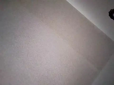 Snapshot of Butterflysky777 chatting on December 2025 08:07:02 PM Butterflysky777 online show from December 2025 08:07:02 PM