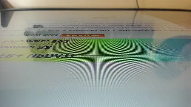 marlin a online show from March 2025 03:37:02 AM