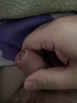 littletoy64 online show from February 2026 08:07:01 AM