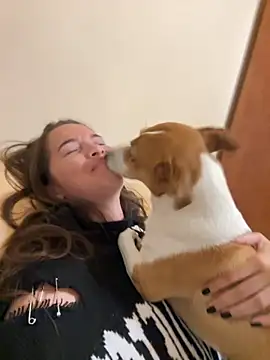 Beverly Hilll online show from October 2025 03:19:02 PM