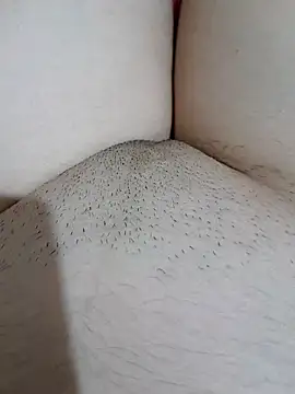 yakot7 online show from October 2025 12:11:02 AM