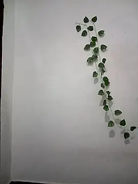 Neha-Bhabhi-Rasily online show from April 2026 04:52:01 PM