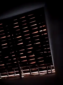 viviksmel online show from April 2026 05:45:02 PM