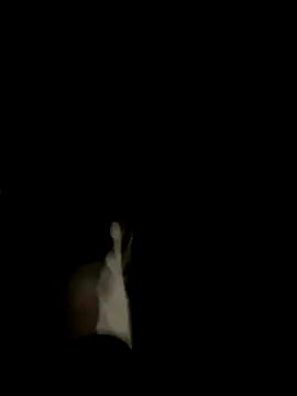 Dasul  online show from October 2025 07:07:02 AM