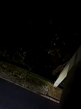 BUTTerflyTODAY online show from April 2026 01:52:02 AM