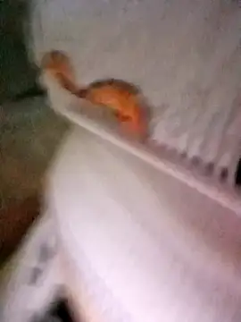 patrona sexooo online show from October 2025 12:58:01 PM