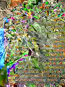 Snapshot of himvilohi08 chatting on September 2025 12:32:01 PM himvilohi08 online show from September 2025 12:32:01 PM