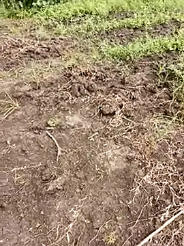 Snapshot of himvilohi08 chatting on October 2025 05:35:02 AM himvilohi08 online show from October 2025 05:35:02 AM