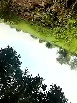 Snapshot of himvilohi08 chatting on October 2025 05:27:01 AM himvilohi08 online show from October 2025 05:27:01 AM