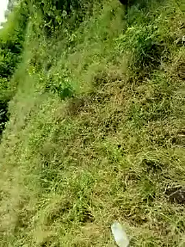 Snapshot of himvilohi08 chatting on October 2025 04:10:01 AM himvilohi08 online show from October 2025 04:10:01 AM