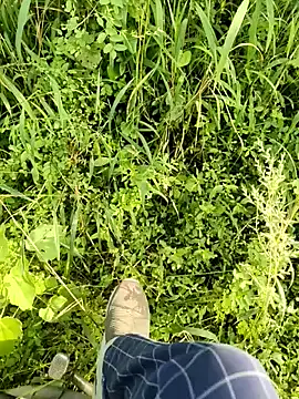 Snapshot of himvilohi08 chatting on October 2025 10:03:01 AM himvilohi08 online show from October 2025 10:03:01 AM