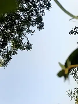 Snapshot of himvilohi08 chatting on October 2025 10:26:01 AM himvilohi08 online show from October 2025 10:26:01 AM