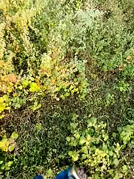 Snapshot of himvilohi08 chatting on December 2025 02:43:02 AM himvilohi08 online show from December 2025 02:43:02 AM