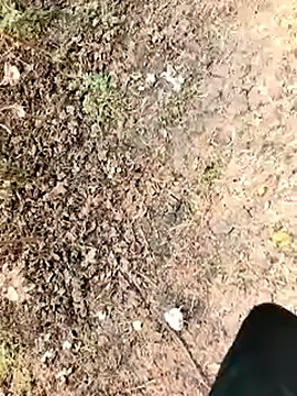 Snapshot of himvilohi08 chatting on January 2026 06:16:01 AM himvilohi08 online show from January 2026 06:16:01 AM