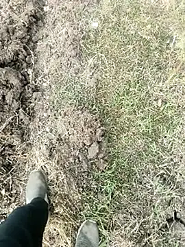 Snapshot of himvilohi08 chatting on January 2026 04:05:02 AM himvilohi08 online show from January 2026 04:05:02 AM