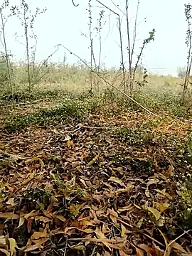 Snapshot of himvilohi08 chatting on February 2026 04:07:01 AM himvilohi08 online show from February 2026 04:07:01 AM