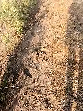 Snapshot of himvilohi08 chatting on February 2026 03:07:02 AM himvilohi08 online show from February 2026 03:07:02 AM