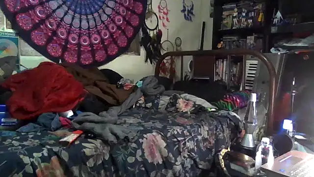 GardeniaFields online show from December 2025 04:51:01 AM