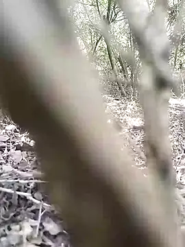 CertifiedSatisfier online show from November 2025 10:37:01 AM