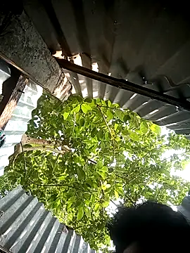 Ayush pussy fucker online show from May 2026 09:58:01 AM