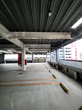 ikeike-kun online show from October 2025 07:28:01 AM