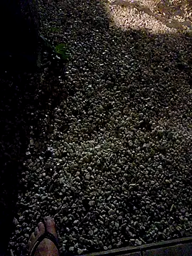 Dglo0000 online show from January 2026 06:59:02 AM