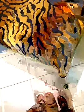 Snapshot of Dglo0000 chatting on February 2026 04:46:02 AM Dglo0000 online show from February 2026 04:46:02 AM