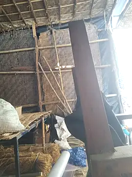 Snapshot of hot_integer chatting on February 2026 02:56:01 AM hot integer online show from February 2026 02:56:01 AM