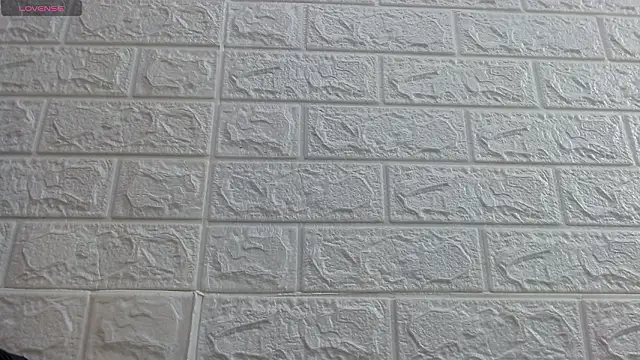 nei girl online show from March 2026 11:37:01 AM