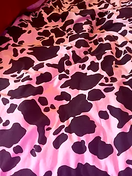 chahoda246 online show from January 2026 10:39:02 AM