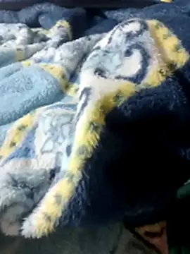 luuiss12 online show from January 2026 08:14:01 PM