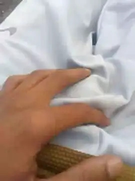 tiibcstuj online show from February 2026 12:13:02 PM