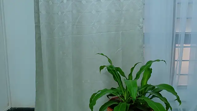 EbonyHorrny online show from September 2025 12:16:01 PM