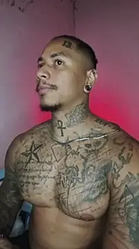 Snapshot of David_tatto1 chatting on February 2026 05:06:01 AM David tatto1 online show from February 2026 05:06:01 AM