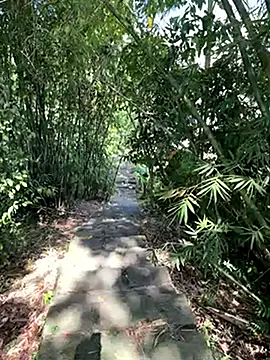 zack23088 online show from October 2025 02:03:02 AM