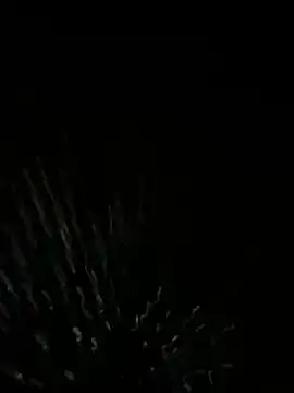 mikimakim online show from May 2026 11:50:02 AM