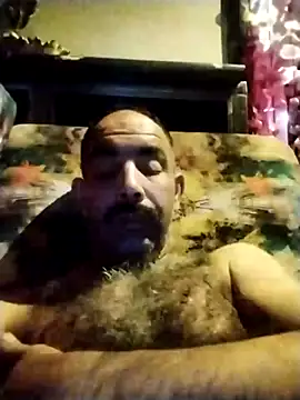 salimbasha online show from October 2025 03:28:02 AM