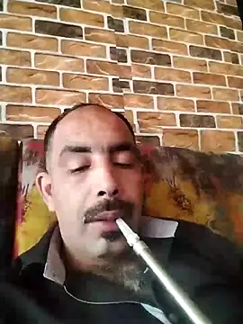 salimbasha online show from May 2026 08:55:02 AM