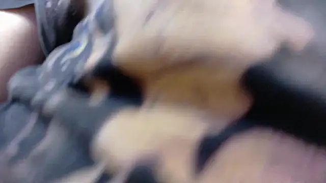 Witch Scarlet online show from March 2026 01:00:02 AM