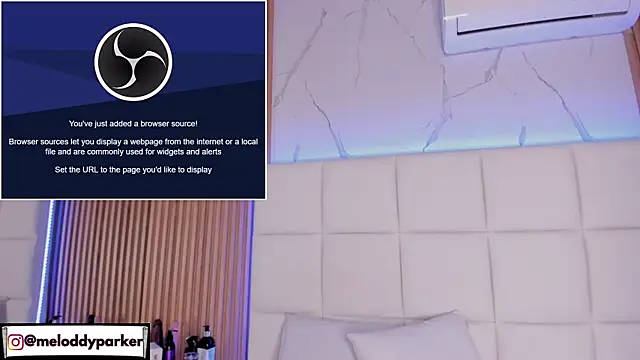 Snapshot of Meloddy_Parkerr_ chatting on February 2026 01:17:01 AM Meloddy Parkerr online show from February 2026 01:17:01 AM