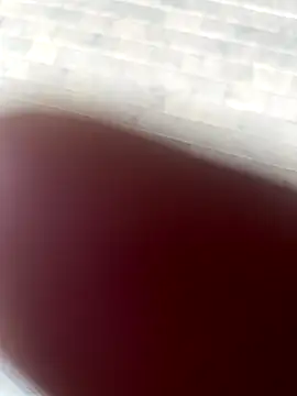 kamo012000 online show from October 2025 02:37:02 PM