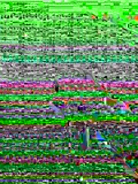 Snapshot of kamo012000 chatting on June 2026 10:08:02 AM kamo012000 online show from June 2026 10:08:02 AM