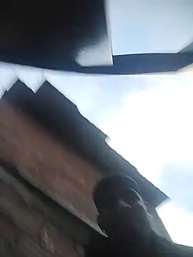 Snapshot of ashtoncooperr chatting on December 2025 11:29:01 AM ashtoncooperr online show from December 2025 11:29:01 AM