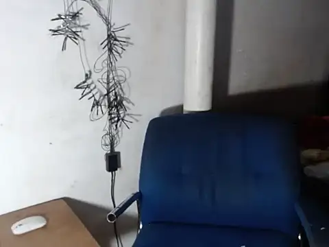 BebaFoxx online show from November 2025 07:01:01 AM