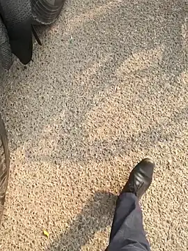 mysticeyes backup online show from November 2025 03:37:02 AM