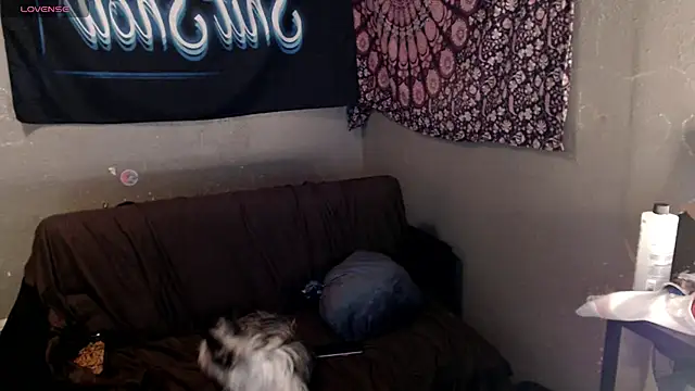 London Ray online show from April 2026 09:15:02 PM