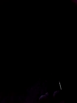 Ridick2025 online show from November 2025 08:47:01 AM